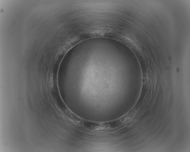 X0000074340504200609082101