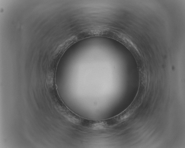 X0000074340505200609082101