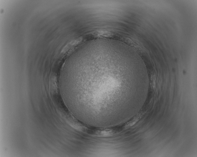 X0000074340506200609082101