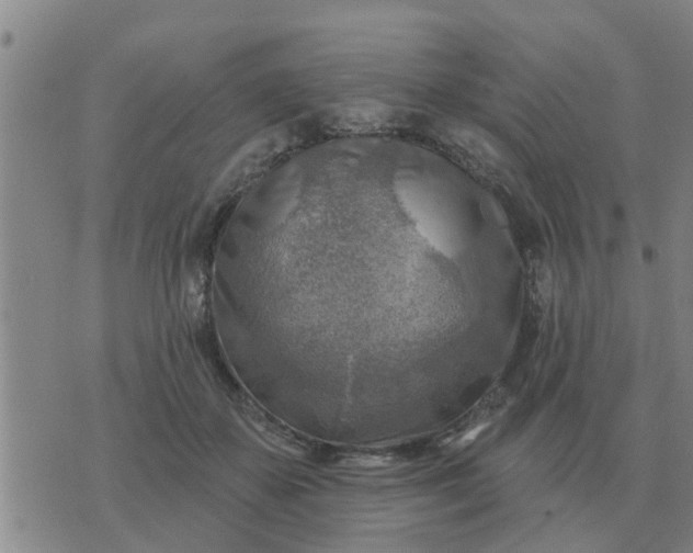 X0000074340507200609082100