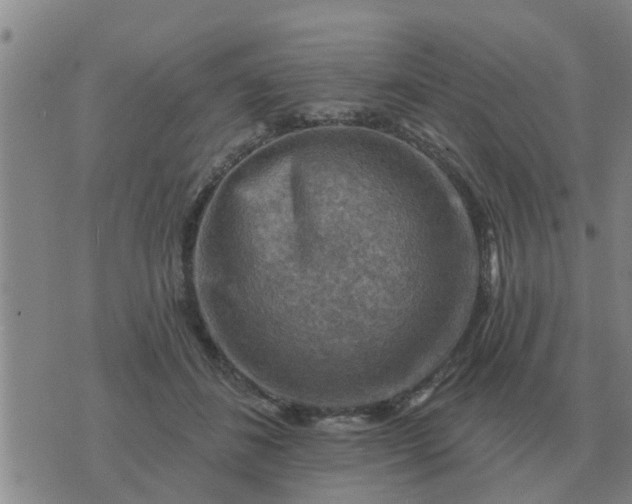 X0000074340508200609082100