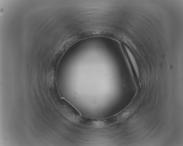 X0000074340509200609082100