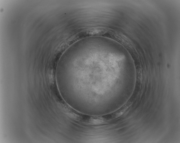 X0000074340510200609082100