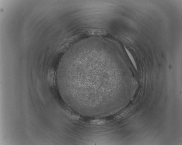 X0000074340511200609082100