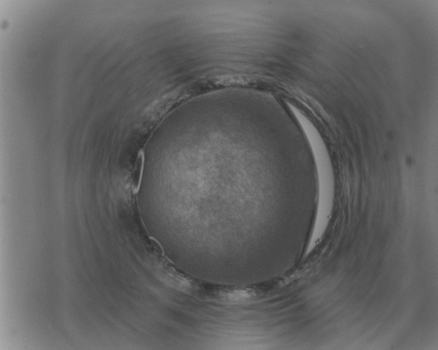 X0000074340513200609082100