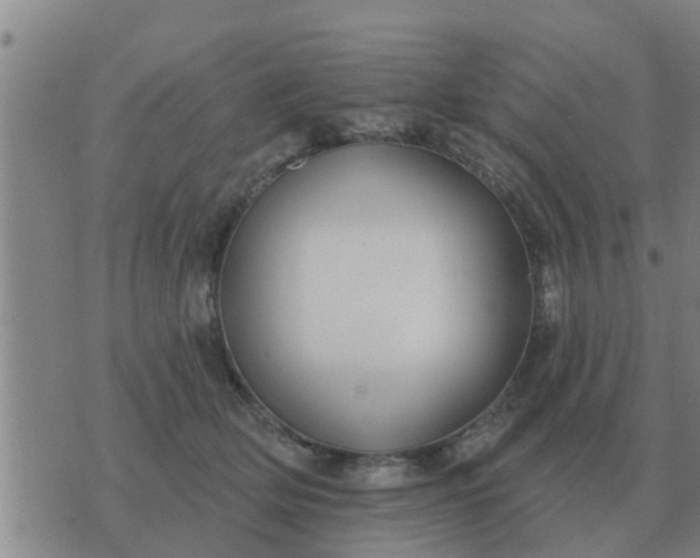 X0000074340514200609082100