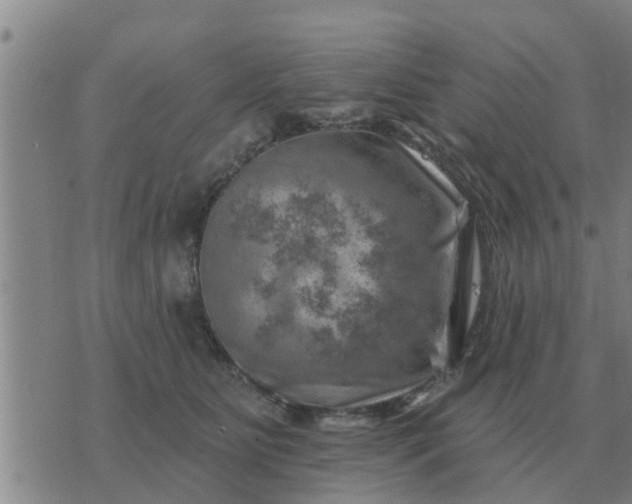 X0000074340515200609082100