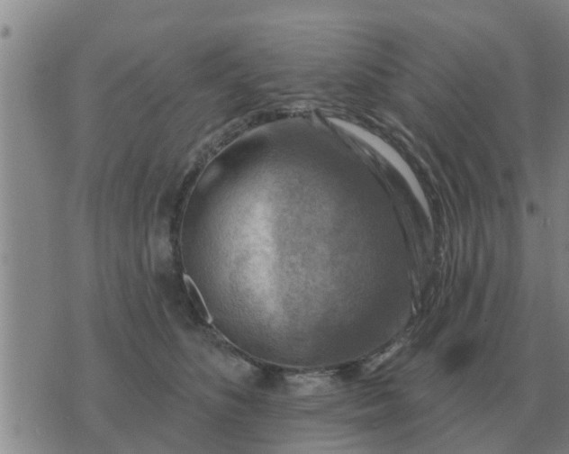 X0000074340516200609082100