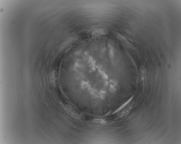 X0000074340519200609082100