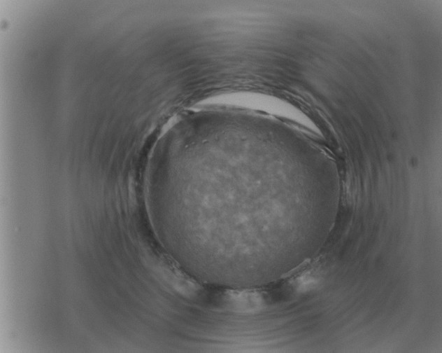 X0000074340520200609082100