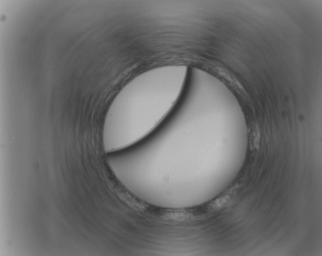 X0000074340521200609082100