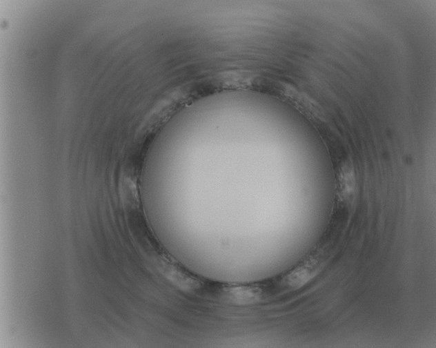 X0000074340522200609082100