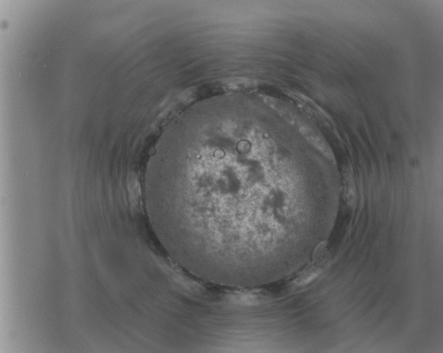 X0000074340523200609082100