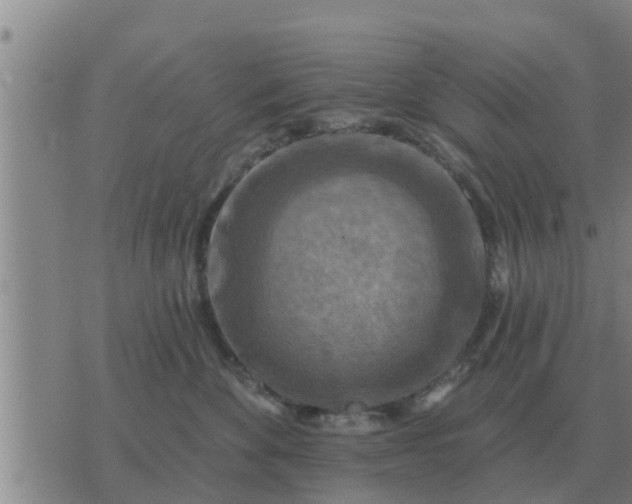 X0000074340524200609082100