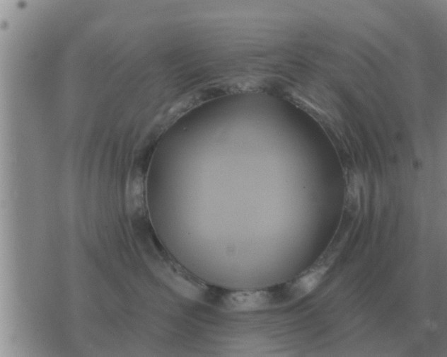 X0000074340526200609082100