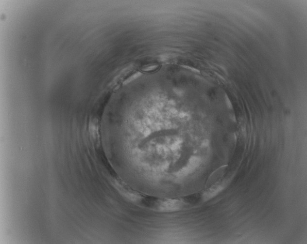 X0000074340527200609082100