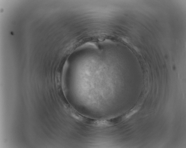 X0000074340528200609082100