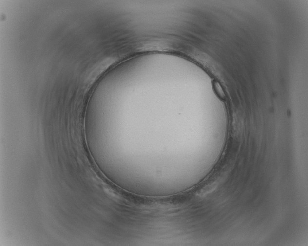 X0000074340529200609082059