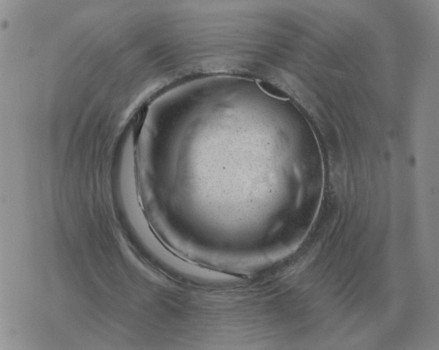 X0000074340530200609082059