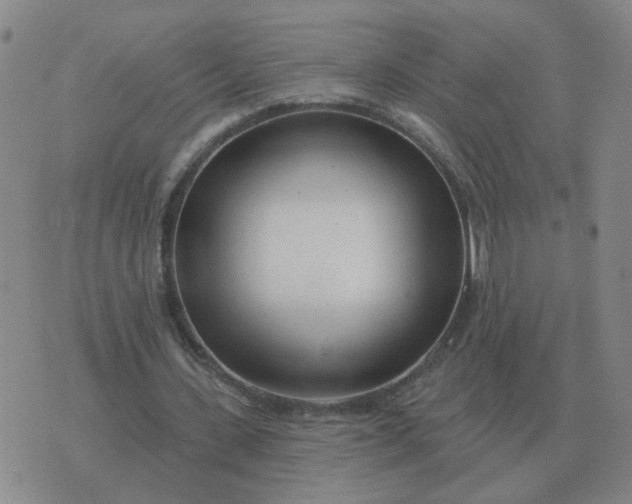 X0000074340531200609082059