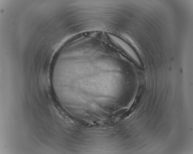 X0000074340532200609082059