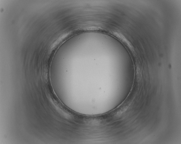 X0000074340533200609082059