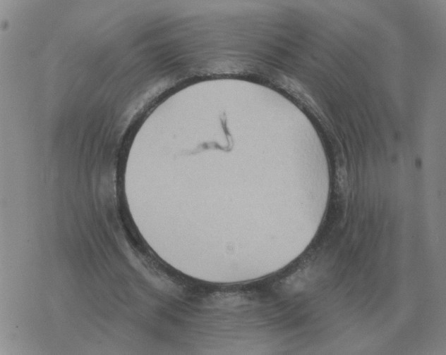 X0000074340534200609082059