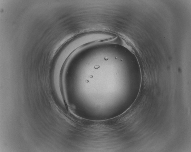 X0000074340535200609082059