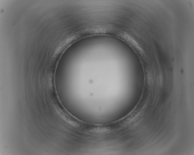 X0000074340537200609082059