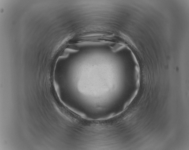 X0000074340538200609082059