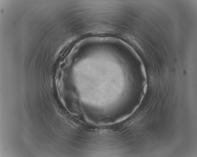 X0000074340539200609082059