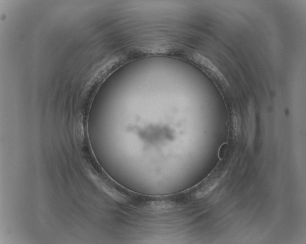 X0000074340541200609082059