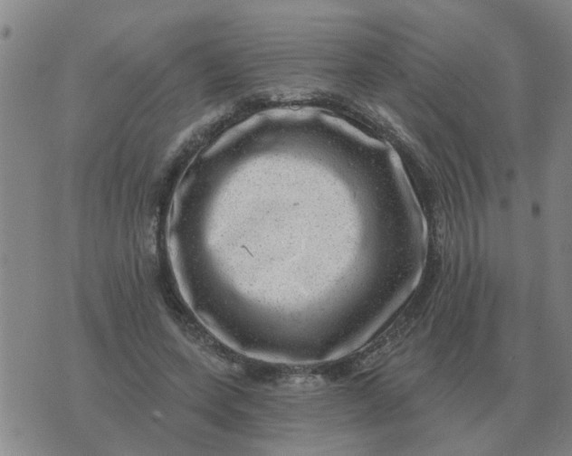 X0000074340543200609082059