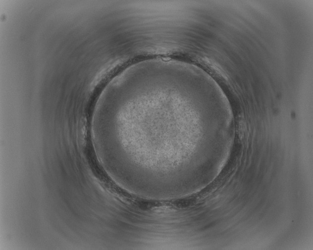 X0000074340544200609082059