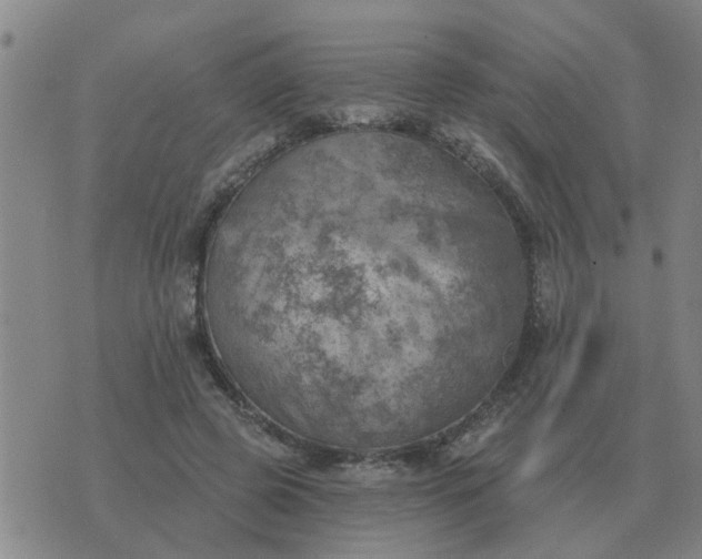 X0000074340545200609082100