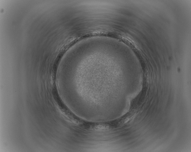 X0000074340546200609082100