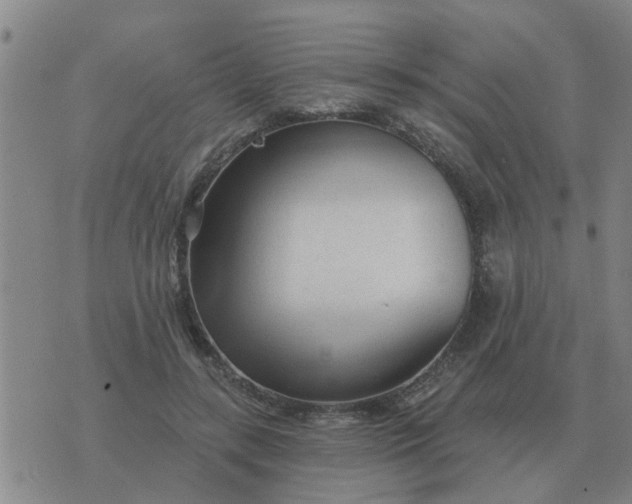 X0000074340547200609082100