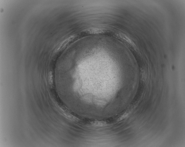 X0000074340549200609082100