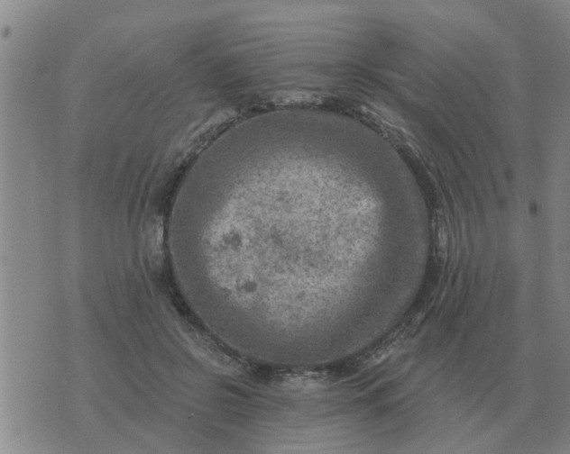 X0000074340550200609082100