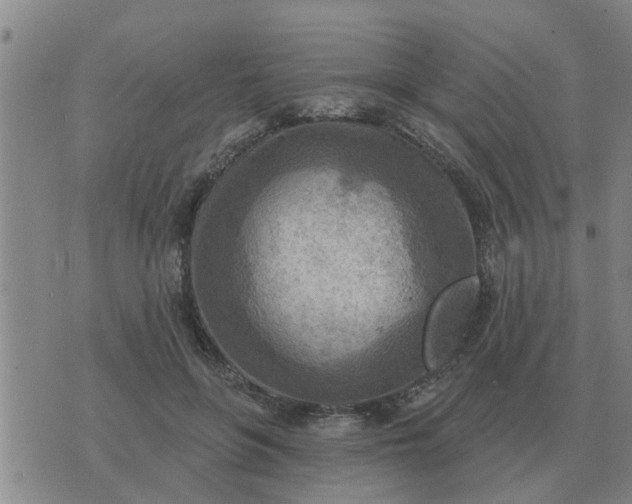 X0000074340551200609082100