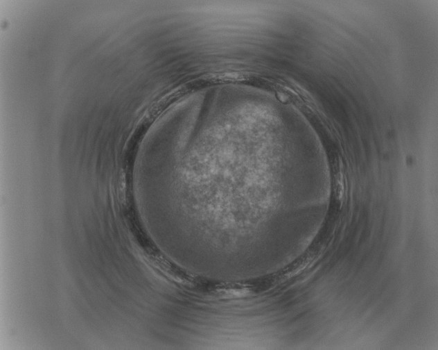 X0000074340552200609082100