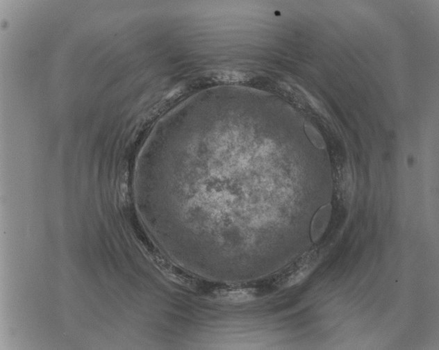 X0000074340553200609082100