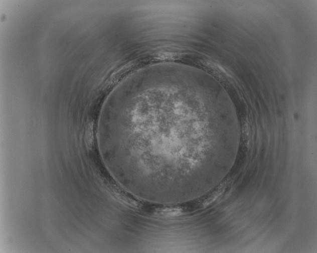 X0000074340554200609082100