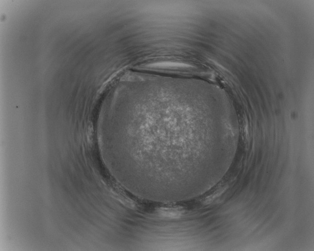 X0000074340556200609082100