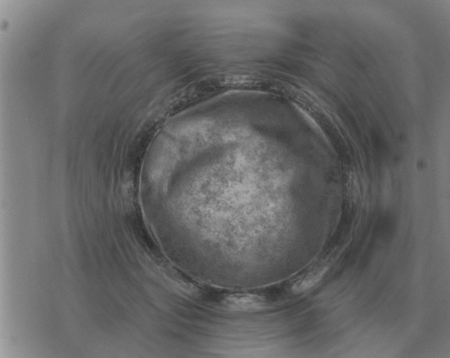 X0000074340557200609082100