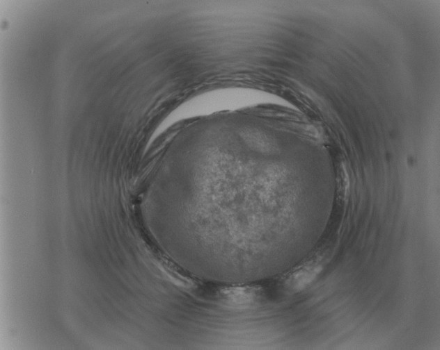 X0000074340558200609082100