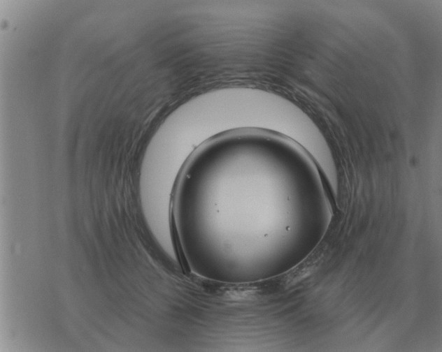 X0000074340560200609082100