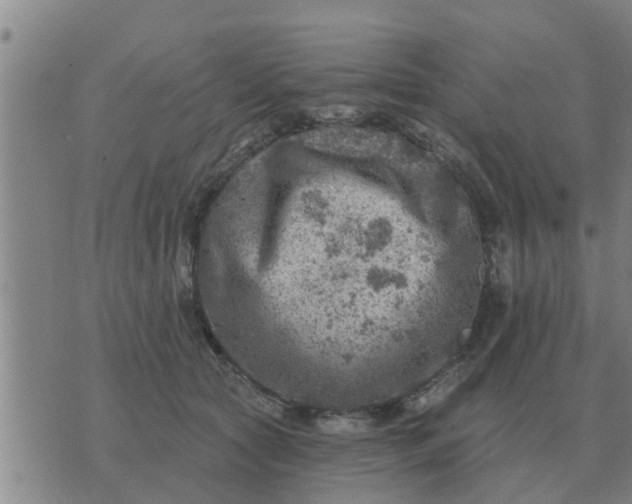 X0000074340561200609082100