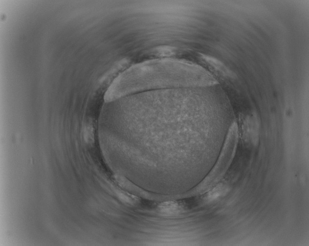 X0000074340562200609082100