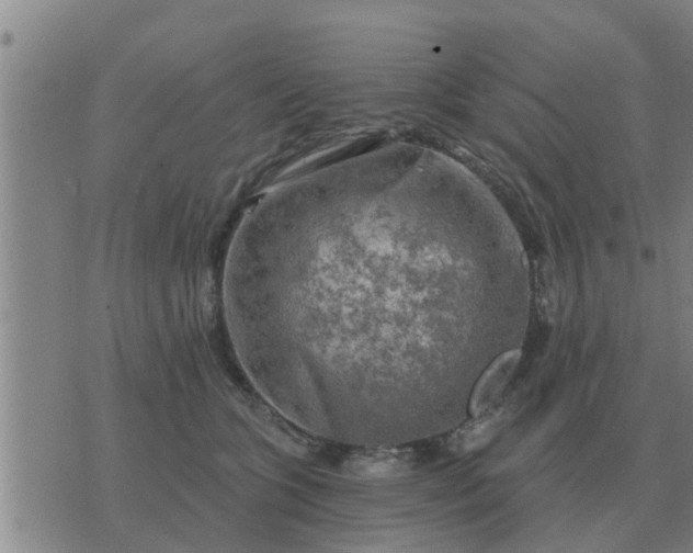 X0000074340563200609082100